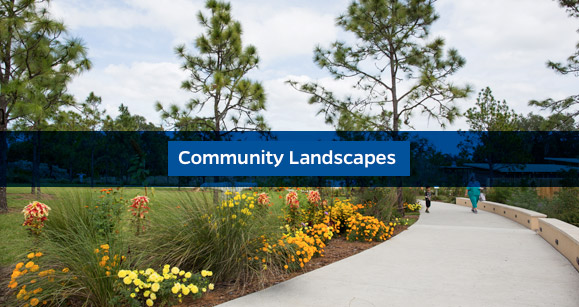 Community Landscapes navigation button