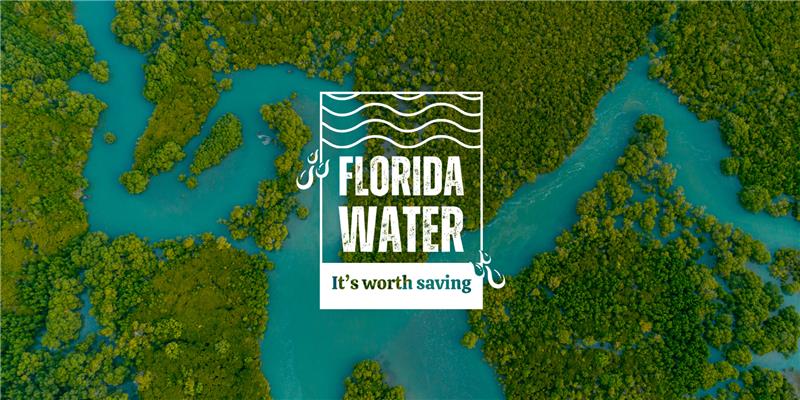 Aerial photo of surface water and green vegetation with title Florida's Water It's Worth Saving
