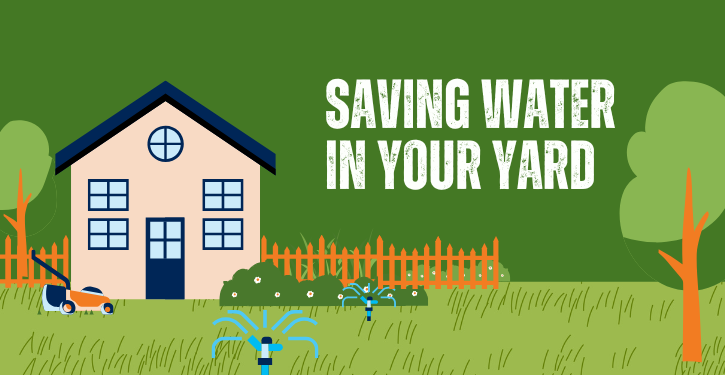 Drawing of house with shrubs, fence, and title Saving Water in Your Yard