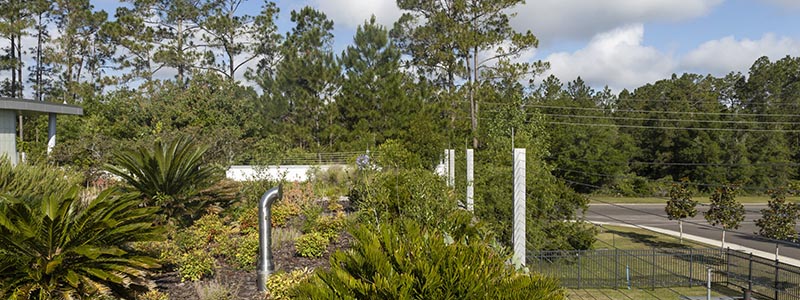 Plants and pipe on Gainesville Regional Utilities green roof