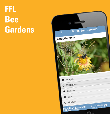 FFL Bee Gardens app display on phone
