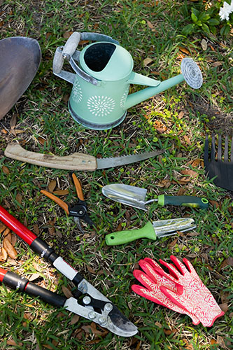 Tools for Weeding