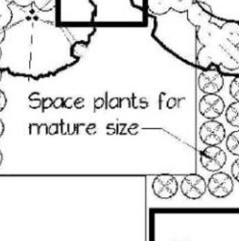 Placement of Plants