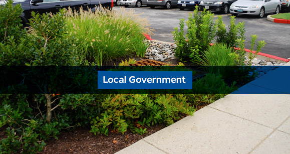 Local Government navigation button