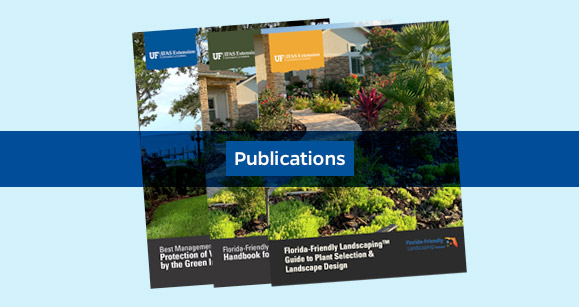 Some of the Publications available from UF/IFAS on Florida-Friendly Landscaping™: Handbook for Home Landscapes, Guide to Plant Selection and Landscape Design, and Protection of Water Resources. 