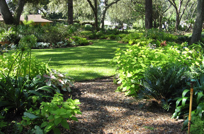 9 Principles Florida Friendly Landscaping Program University Of Florida Institute Of Food And Agricultural Sciences Uf Ifas