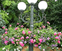 Flower baskets hang from either side of a lamp post.