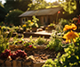 A multilevel, sunlit garden