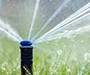 A spraying sprinkler head over well maintained grass.