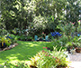 A path, some turf, some flowers, some trees pleasantly arranged.