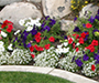 A variety of flowers closely palced together with some stones.