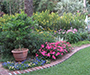 Mised bed of flowers and plants. Some potted, some low, some high. Grass, mulch, brick.